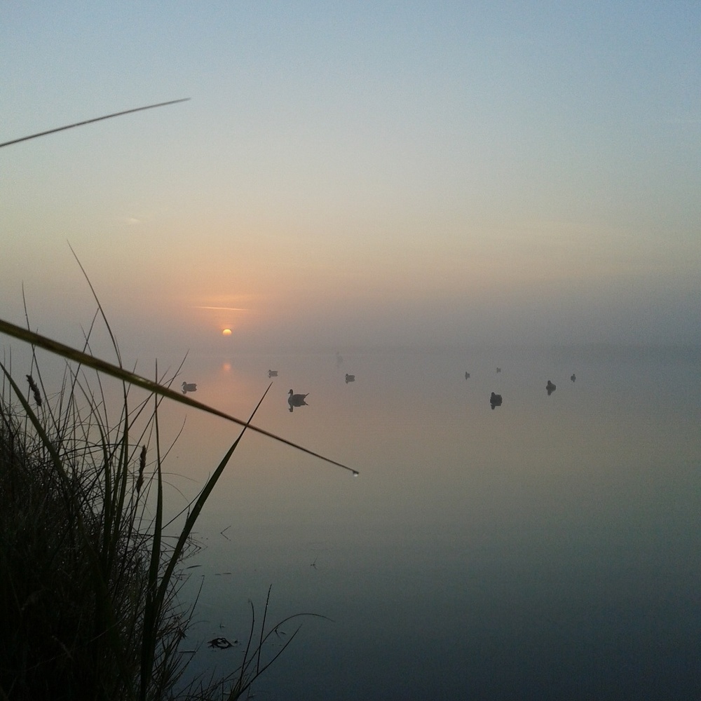 Meet your Posher, Joshua